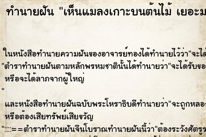 ทำนายฝันทำนายฝันเห็นแมลงเกาะบนต้นไม้เยอะมาก